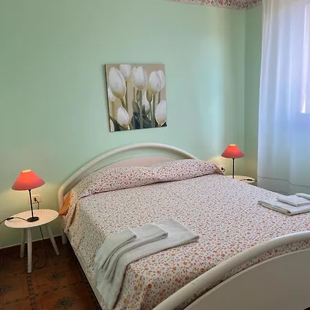 Nardini 팜스테이 *