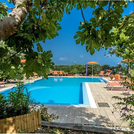 팜스테이 Nardini *